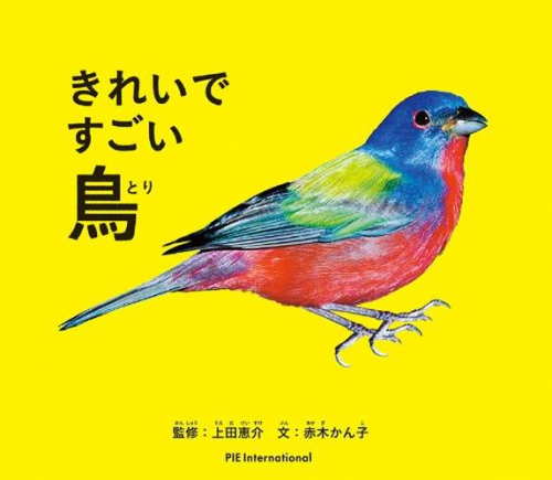 きれいですごい! 鳥