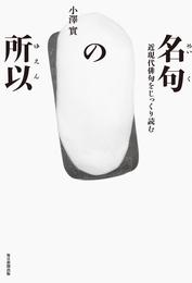 名句の所以 近現代俳句をじっくり読む　澤俳句叢書第二十四篇