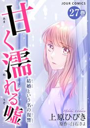 甘く濡れる嘘～結婚という名の復讐～ 27 冊セット 最新刊まで