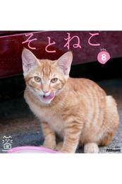 そとねこ　VOL.08