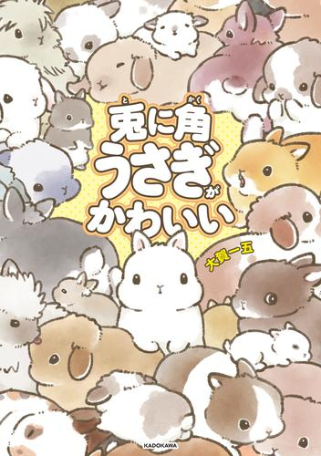 兎に角うさぎがかわいい
