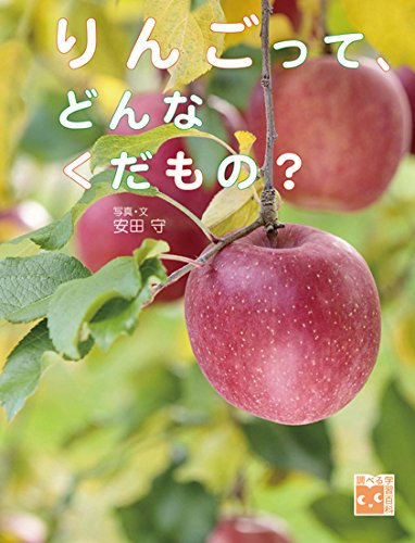 調べる学習百科 りんごって、どんなくだもの?