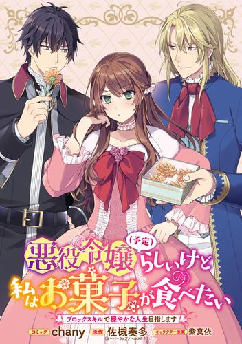 悪役令嬢（予定）らしいけど、私はお菓子が食べたい～ブロックスキルで穏やかな人生目指します～　連載版: 19