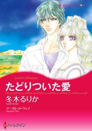 たどりついた愛【分冊】 1巻