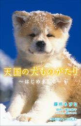 小学館ジュニア文庫　天国の犬ものがたり～はじめまして～