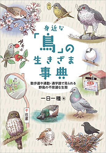 身近な「鳥」の生きざま事典 散歩道や通勤・通学路で見られる野鳥の不思議な生態