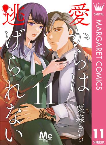 愛からは逃げられない 11 冊セット 全巻
