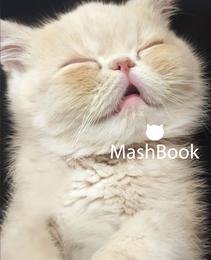 Mash Book