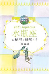 2021年の水瓶座の秘密を紐解く！