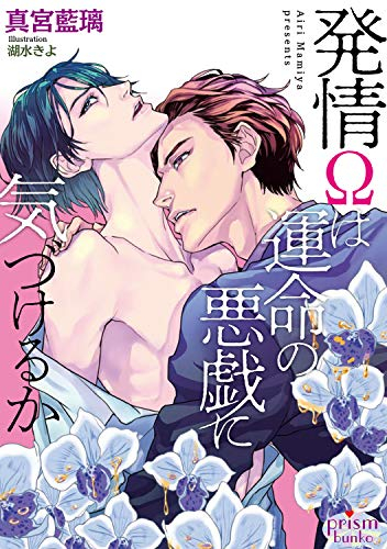 [ライトノベル]発情Ωは運命の悪戯に気づけるか (全1冊)