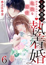 年下御曹司の執着婚～訳ありエリートの危険な溺愛～　6巻