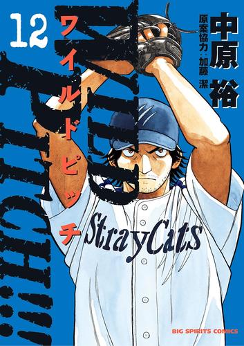 WILD PITCH！！！（１２） | 漫画全巻ドットコム