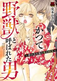 かつて野獣と呼ばれた男～神の力を操る恋とSEX～ 9 冊セット 全巻