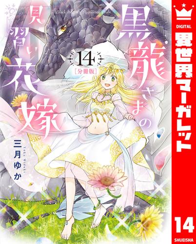 【分冊版】黒龍さまの見習い花嫁 14