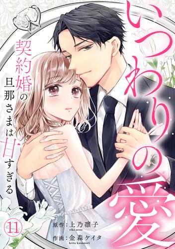 いつわりの愛～契約婚の旦那さまは甘すぎる～ 11 冊セット 最新刊まで