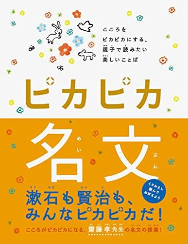 ピカピカ名文