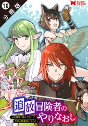 追放冒険者のやりなおし　～妖精界で鍛えなおして自分の居場所をつくる～（コミック） 分冊版 10