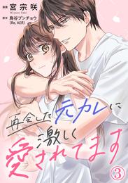 再会した元カレに激しく愛されてます 3巻