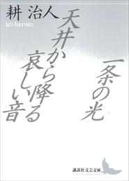 一条の光・天井から降る哀しい音