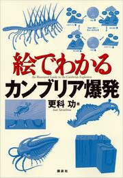 絵でわかるカンブリア爆発