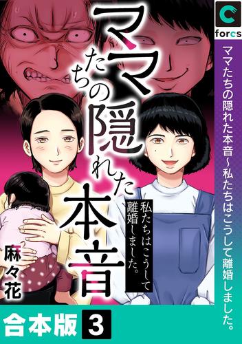 【合本版】ママたちの隠れた本音～私たちはこうして離婚しました。 3 冊セット 全巻