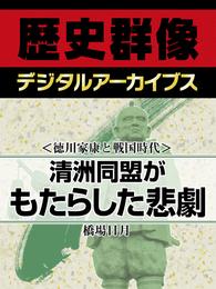 ＜徳川家康と戦国時代＞清洲同盟がもたらした悲劇