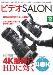 ビデオ SALON (サロン) 2013年 12月号