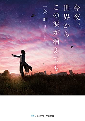 [ライトノベル]今夜、世界からこの恋が消えても (全2冊)