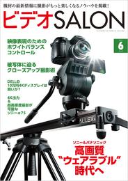 ビデオ SALON (サロン) 2014年 06月号