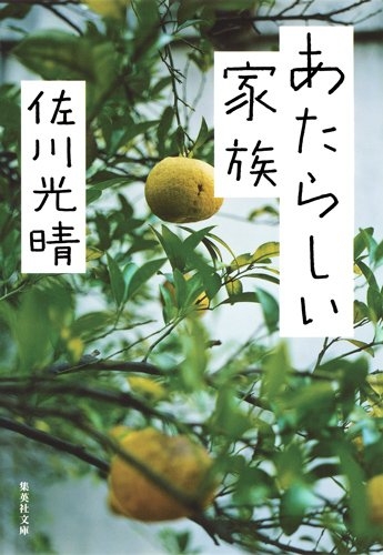 [ライトノベル]あたらしい家族 (全1冊)