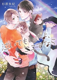 [ライトノベル]泣いてもいいよ、ここでなら (全1冊)