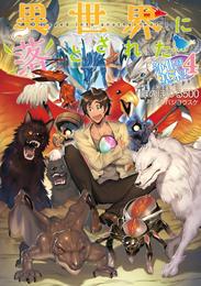 異世界に落とされた…浄化は基本！4【電子書籍限定書き下ろしSS付き】