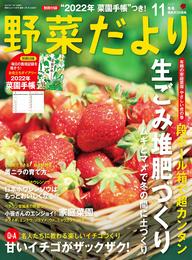 野菜だより2021年11月号