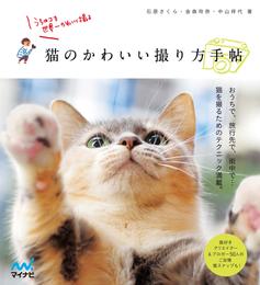 猫のかわいい撮り方手帖