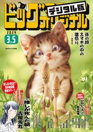 ビッグコミックオリジナル 2024年5号（2024年2月20日発売)