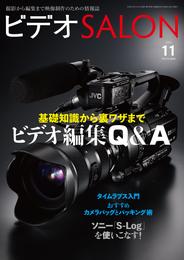 ビデオ SALON (サロン) 2015年 11月号