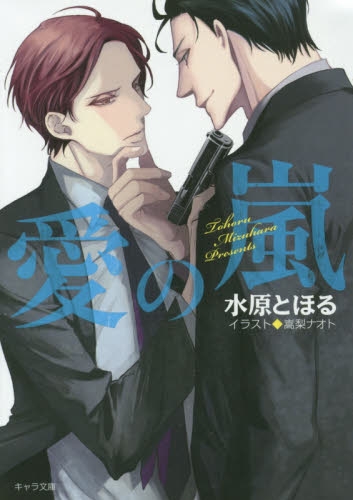 [ライトノベル]愛の嵐 (全1冊)