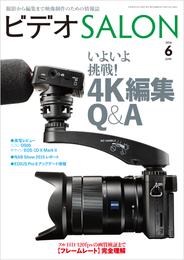 ビデオ SALON (サロン) 2016年 6月号