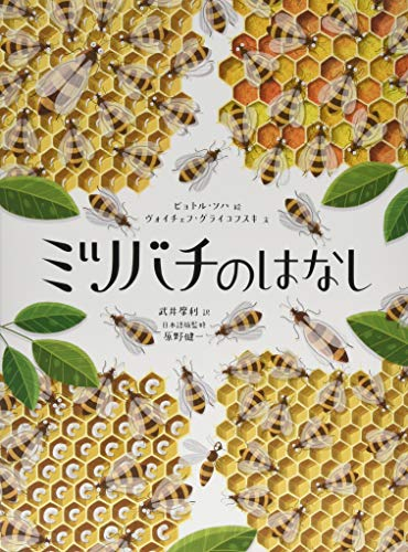 ミツバチのはなし