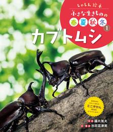 しゃしん絵本　小さな生きものの春夏秋冬　カブトムシ