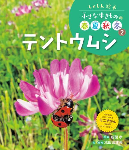 しゃしん絵本　小さな生きものの春夏秋冬　テントウムシ