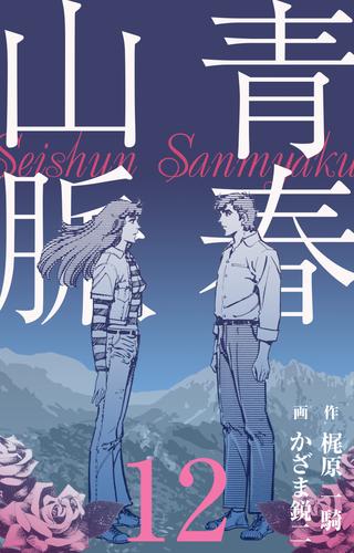 青春山脈 12 冊セット 全巻