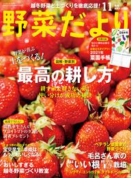 野菜だより2020年11月号