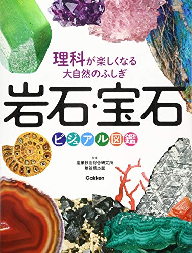 理科が楽しくなる大自然のふしぎ 岩石・宝石ビジュアル図鑑