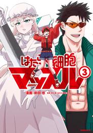 はたらく細胞マッスル 3 冊セット 最新刊まで