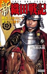 新　織田戦記　参　勝長、木曾川にて秀吉と血戦す！