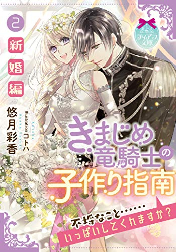 [ライトノベル]きまじめ竜騎士の子作り指南(全2冊)