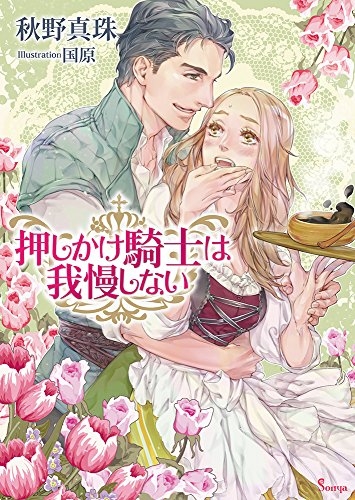 [ライトノベル]押しかけ騎士は我慢しない (全1冊)