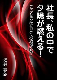 社長、私の中で夕陽が燃える！ ～ファッションはセックスの幻想なの？～