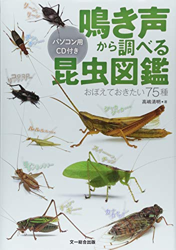 鳴き声から調べる昆虫図鑑ーおぼえておきたい75種 パソコン用CD付き